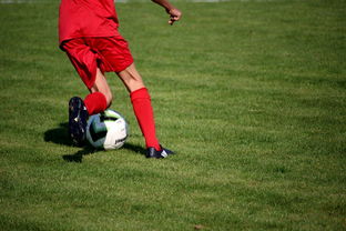 开云官网APP下载-冬奥场馆智能系统协助运动员热身训练，冬奥会设备