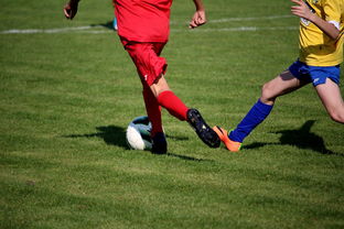 开云体育视频直播-国家队与俱乐部之间协调机制为何不顺畅，国家队比赛和俱乐部比赛冲突